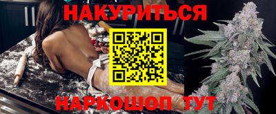 a pvp Гатчина