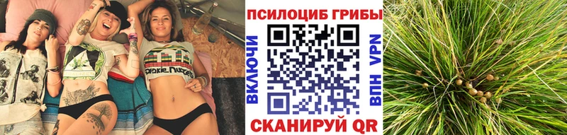 Псилоцибиновые грибы ЛСД  сколько стоит  Лесозаводск 