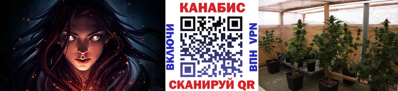 Бошки Шишки Amnesia  где можно купить наркотик  Лесозаводск 
